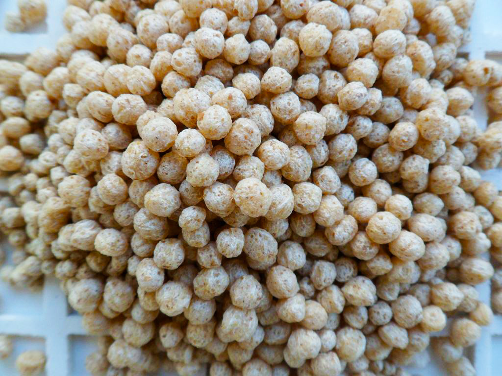 Przetwórstwo surowców zbożowych mąk kasz otrąb pszennych żytnich Polska